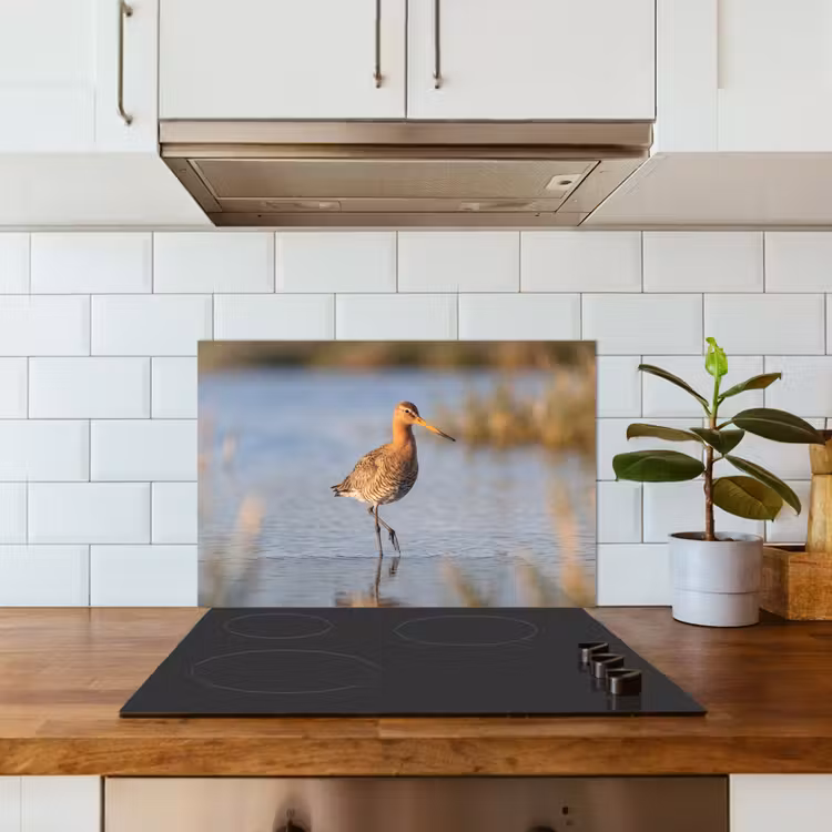 Spatscherm keuken - Vogel - Steltloper - Water - Natuur — 6