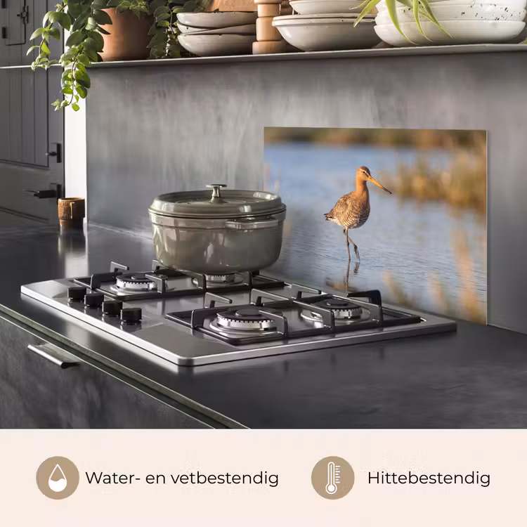 Spatscherm keuken - Vogel - Steltloper - Water - Natuur — 7
