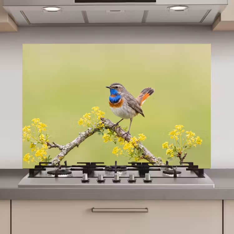 Spatscherm keuken - Vogel - Tak - Natuur - Kleurrijk — 1