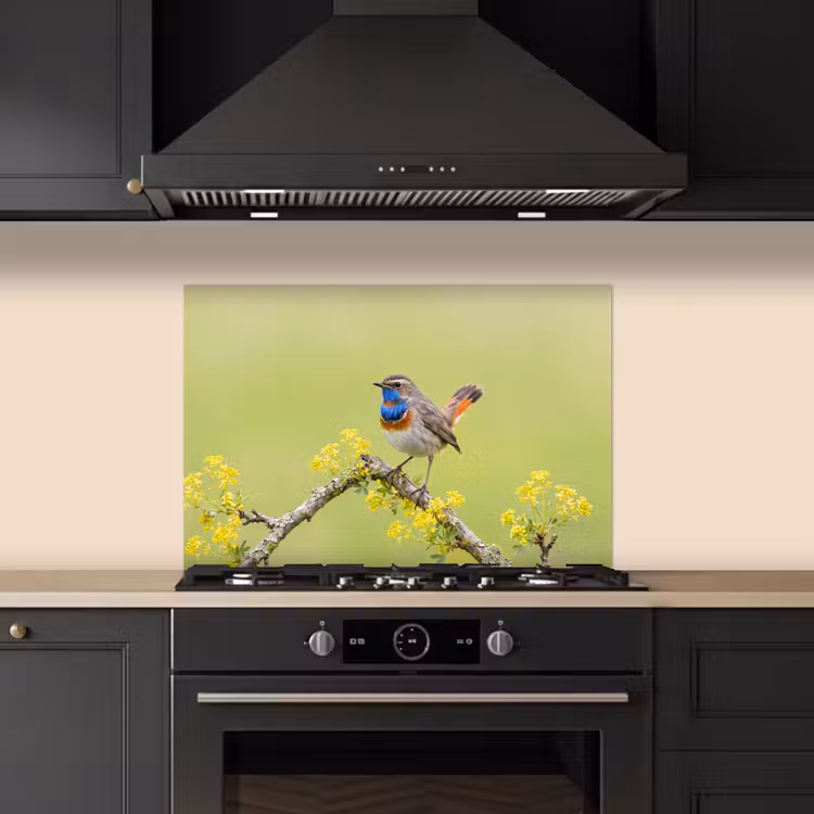 Spatscherm keuken - Vogel - Tak - Natuur - Kleurrijk — 2