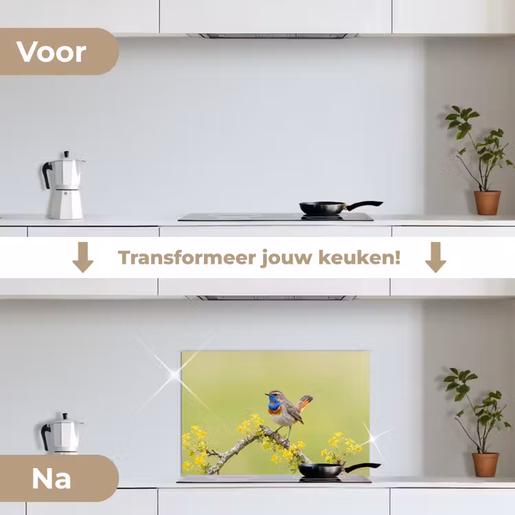 Spatscherm keuken - Vogel - Tak - Natuur - Kleurrijk — 3