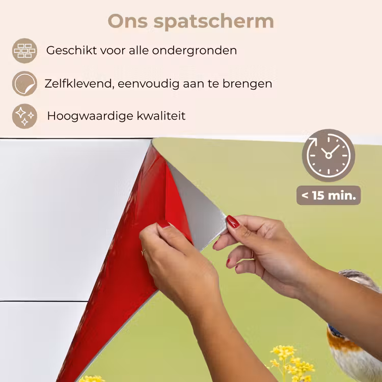 Spatscherm keuken - Vogel - Tak - Natuur - Kleurrijk — 4