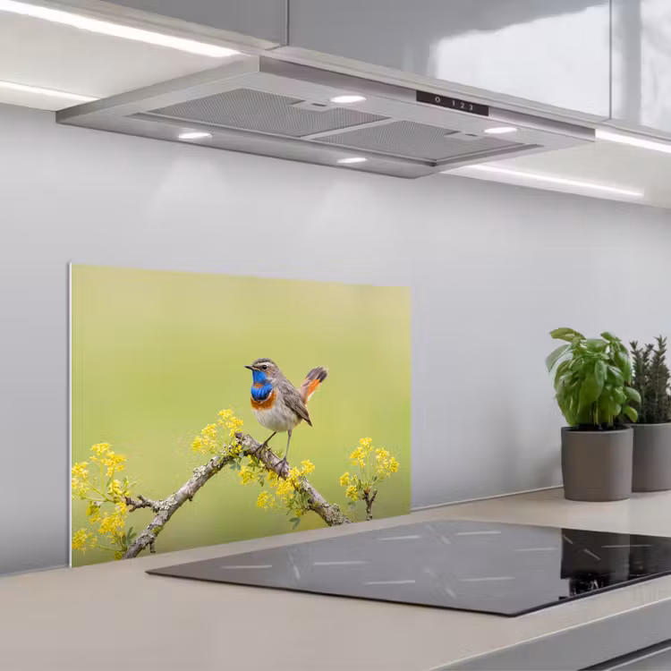 Spatscherm keuken - Vogel - Tak - Natuur - Kleurrijk — 5