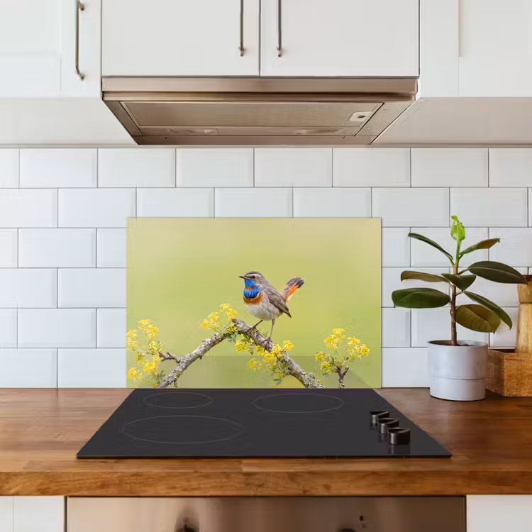 Spatscherm keuken - Vogel - Tak - Natuur - Kleurrijk — 6