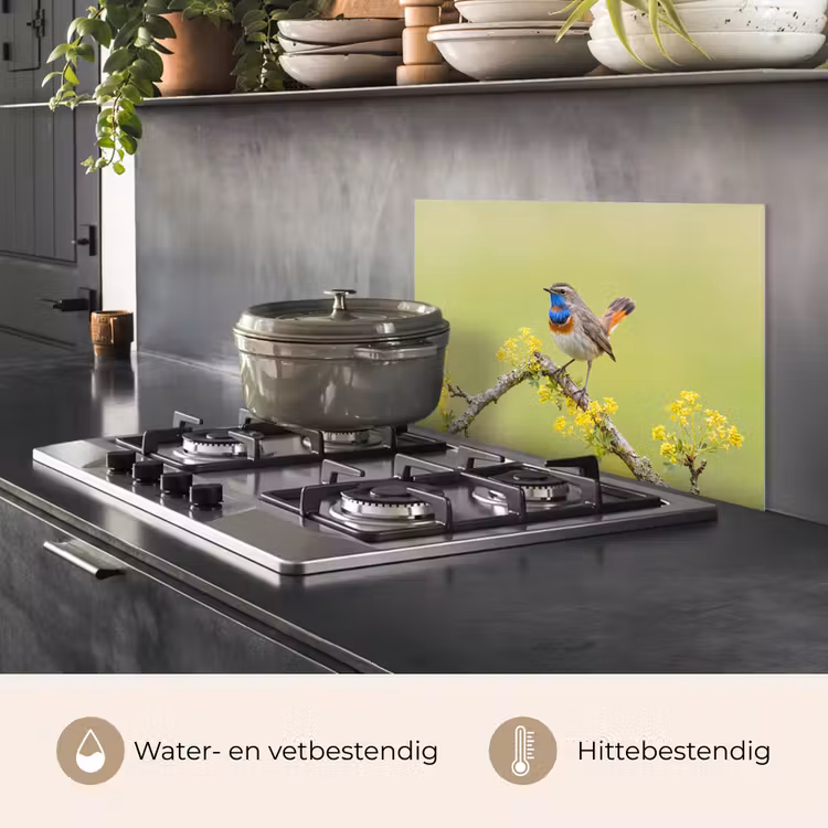 Spatscherm keuken - Vogel - Tak - Natuur - Kleurrijk — 7