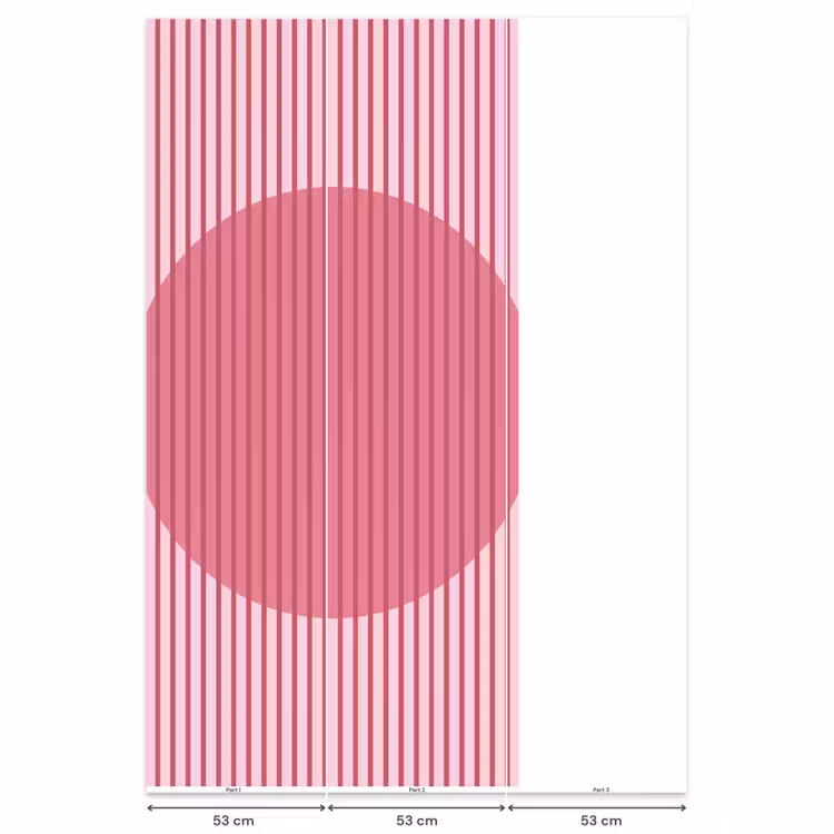 Behang - Abstract - Strepen - Ovaal - Roze - Modern — 6