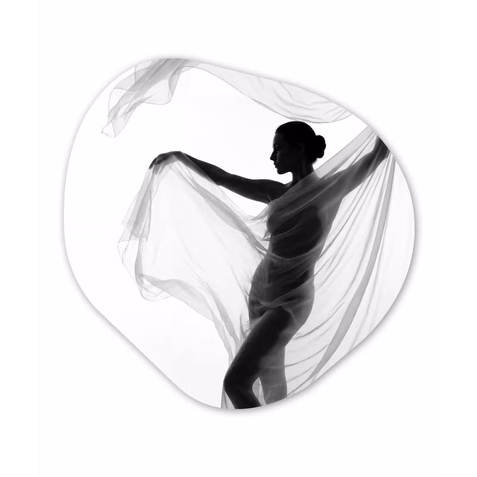 Organisch schilderij - Forex - Silhouet - Sluier - Vormen - Zwart - Wit - Sensueel — 1