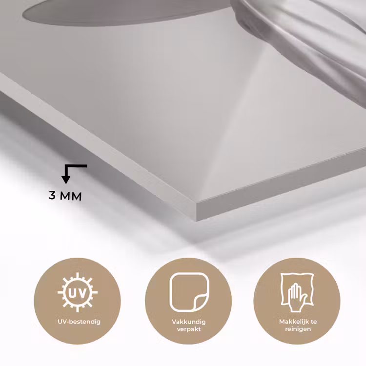 Glas schilderij - Vrouw - Profiel - Hoed - Zwart - Wit - Minimalistisch — 3