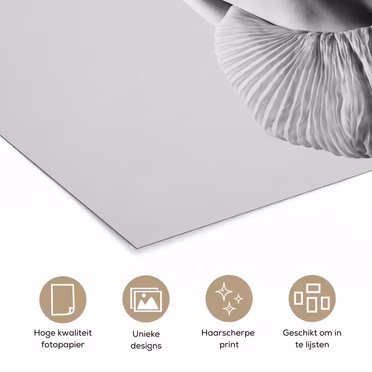Poster - Vrouw - Rug - Textuur - Zwart - Wit - Elegant — 5