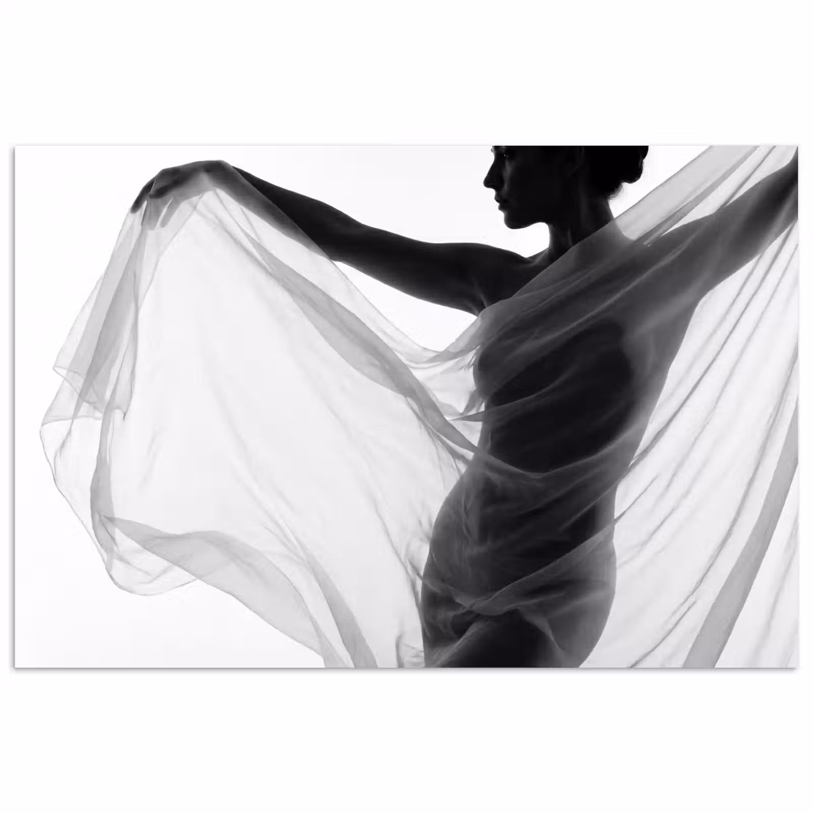 Poster - Silhouet - Sluier - Vormen - Zwart - Wit - Sensueel — 1