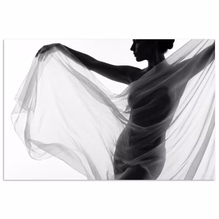Poster - Silhouet - Sluier - Vormen - Zwart - Wit - Sensueel — 1