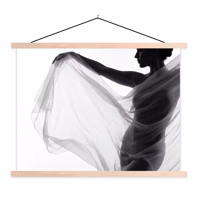 Schoolplaat - Silhouet - Sluier - Vormen - Zwart - Wit - Sensueel — 1