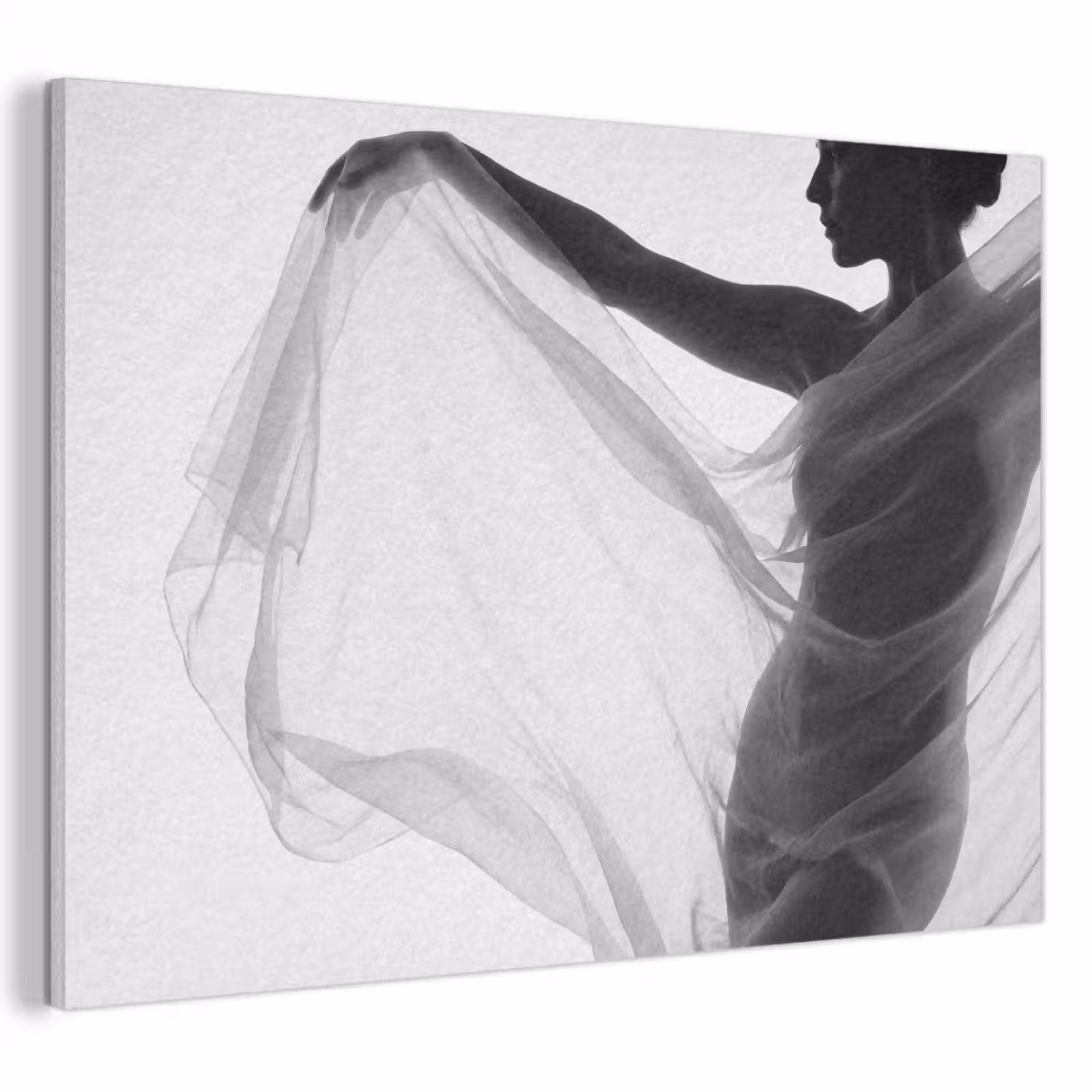 Akoestisch schilderij - Silhouet - Sluier - Vormen - Zwart - Wit - Sensueel — 1
