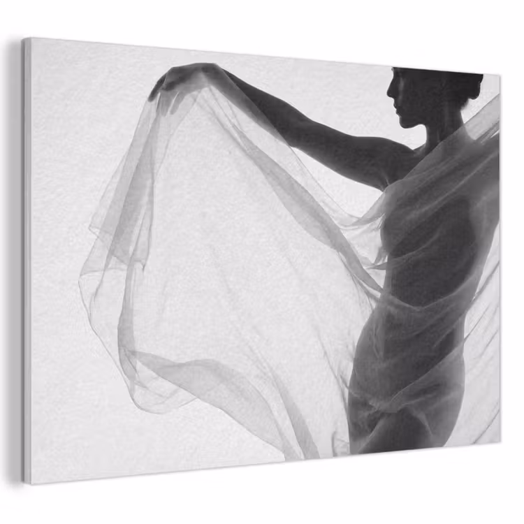 Akoestisch schilderij - Silhouet - Sluier - Vormen - Zwart - Wit - Sensueel — 1