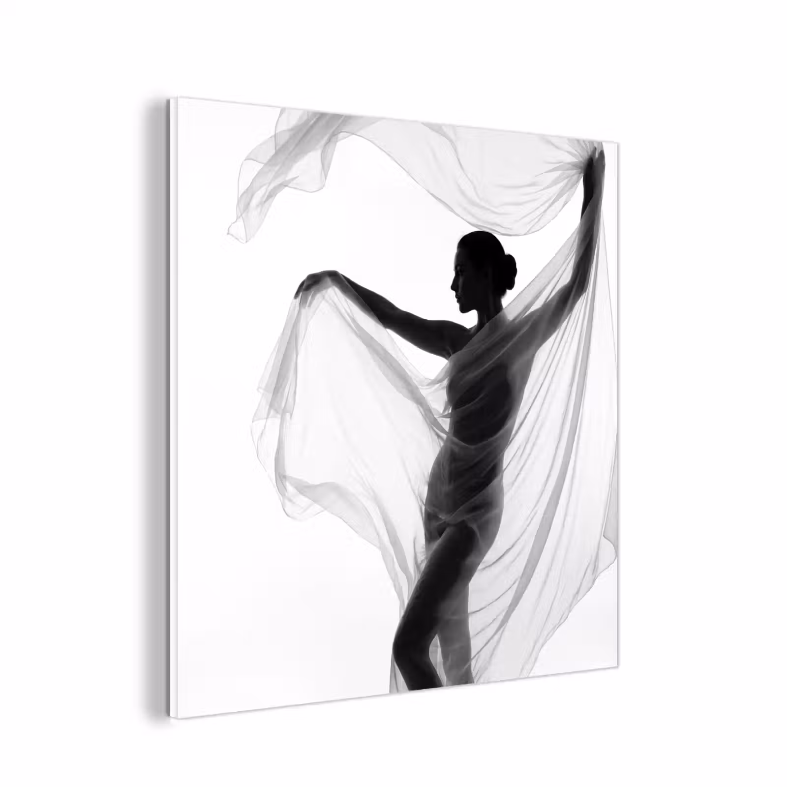 Forex - Silhouet - Sluier - Vormen - Zwart - Wit - Sensueel — 1