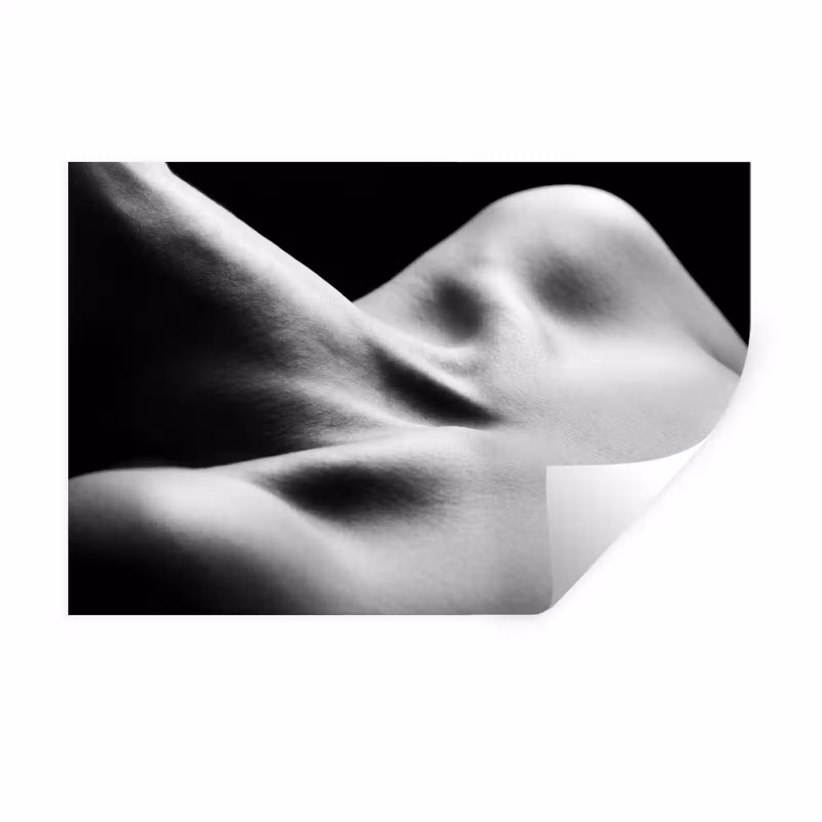 Muursticker - Lichaam - Vormen - Abstract - Zwart - Wit - Sensueel — 1