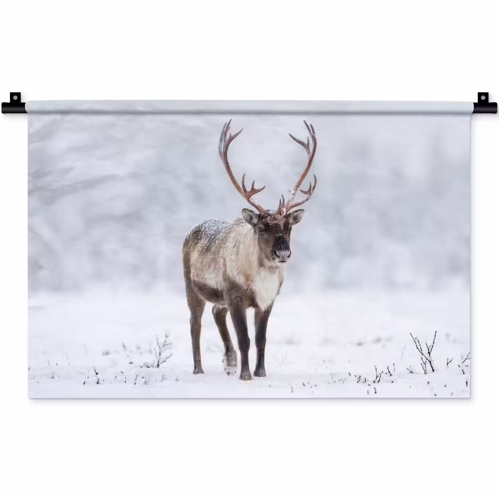 Wandkleed - Rendier - Gewei - Toendra - Sneeuw - Wild — 1