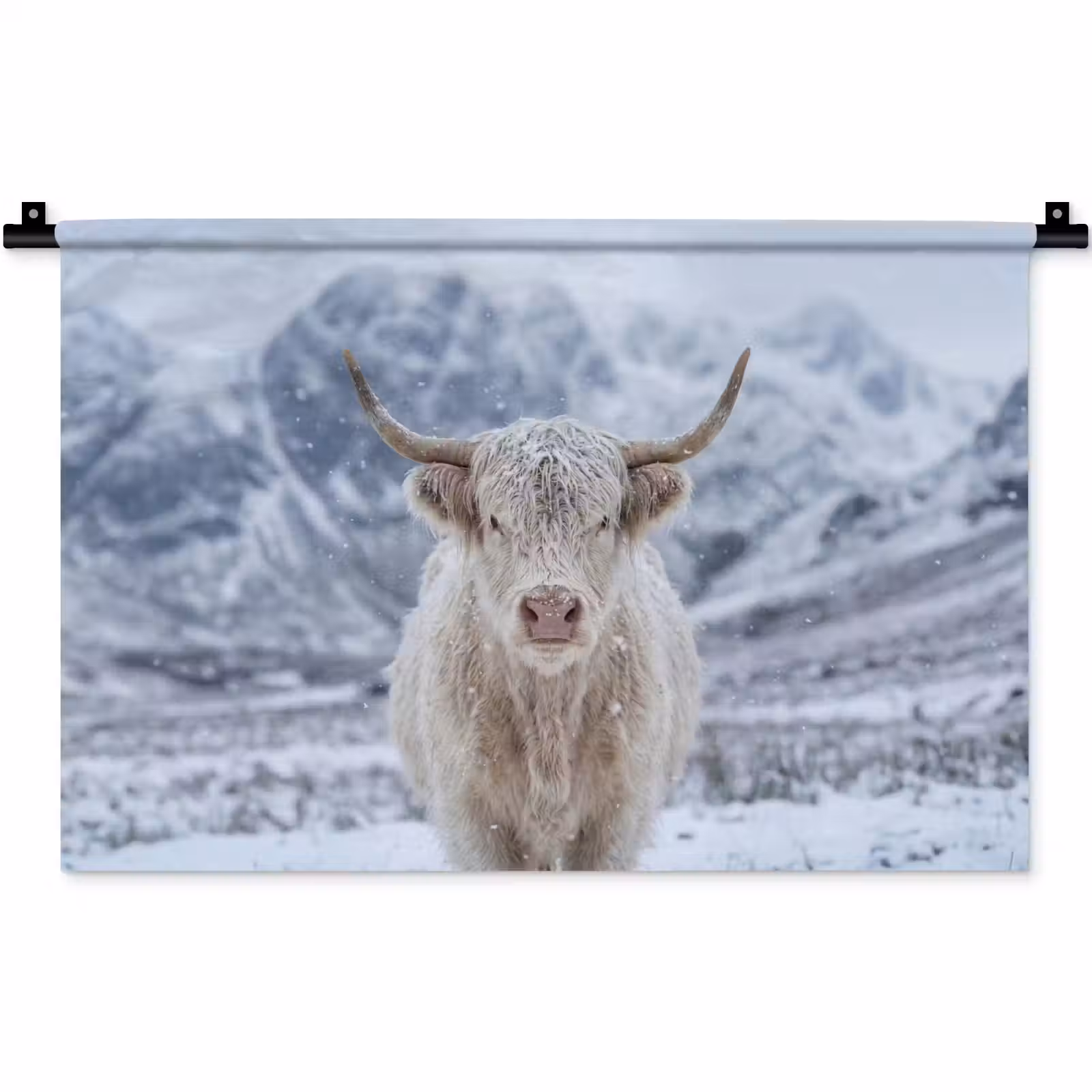Wandkleed - Schotse Hooglander - Sneeuw - Bergen - Winter — 1