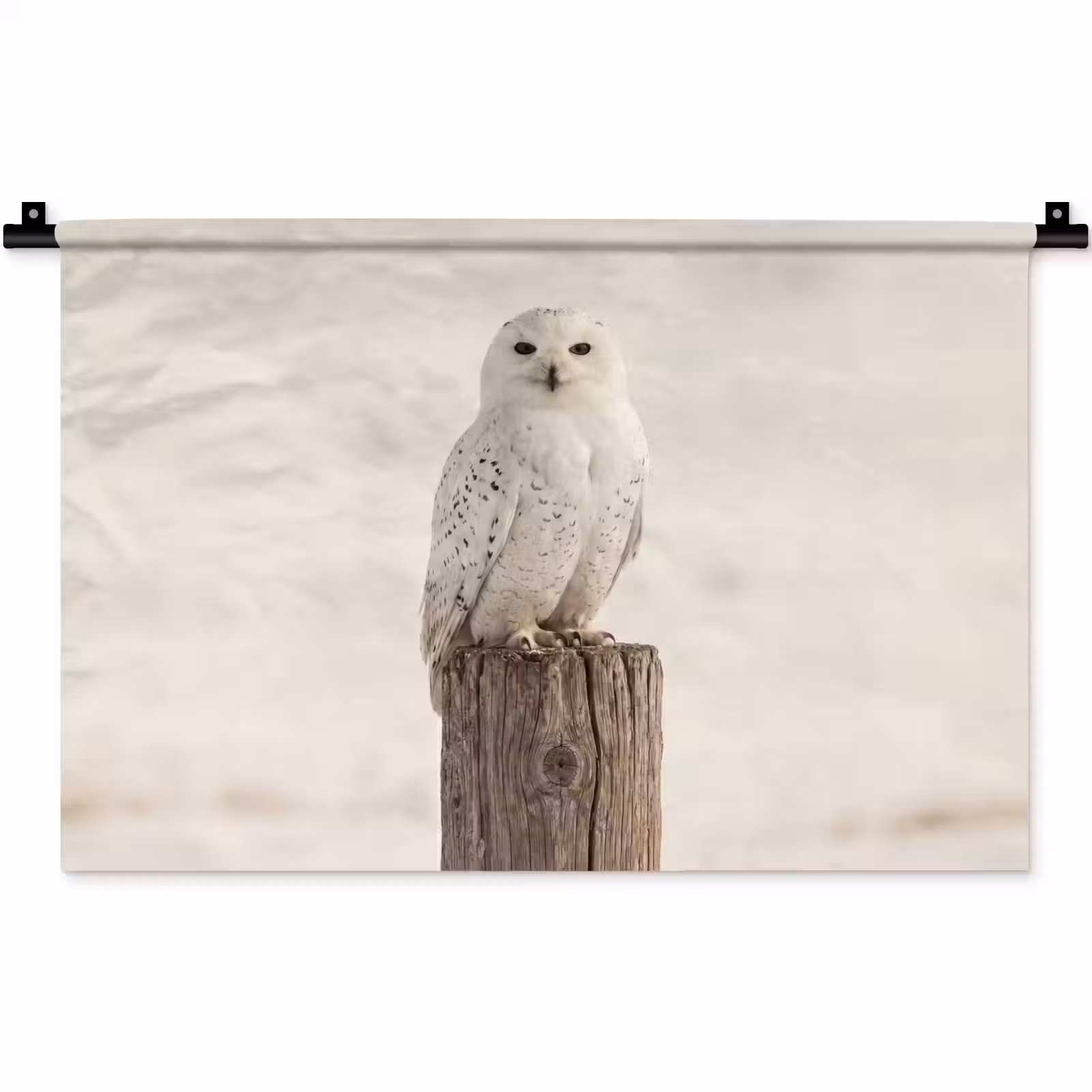 Wandkleed - Sneeuwuil - Paal - Winter - Portret - Majestueus — 1