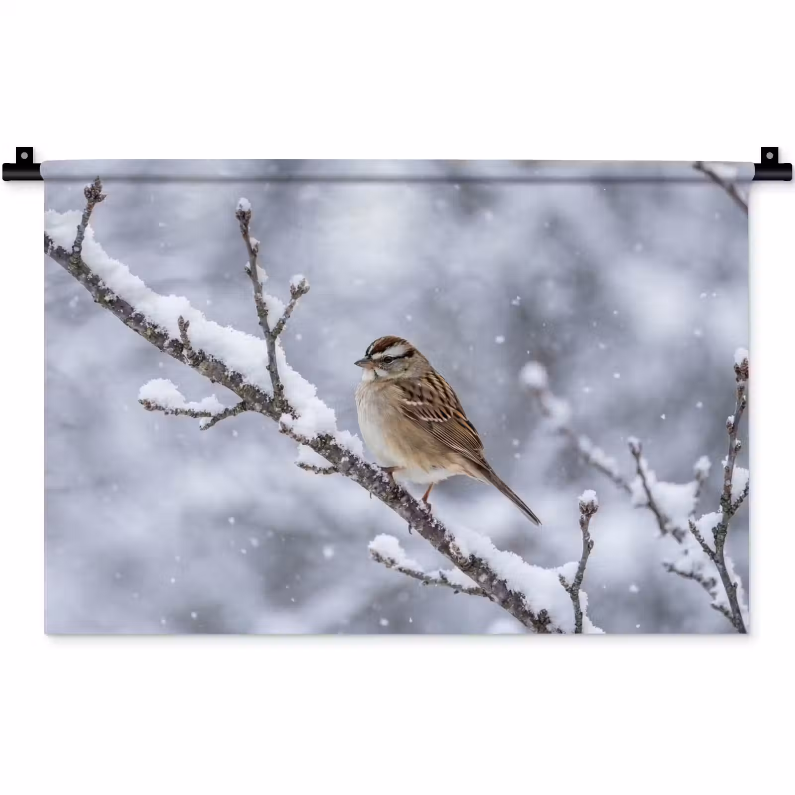 Wandkleed - Vogel - Tak - Sneeuw - Winter — 1