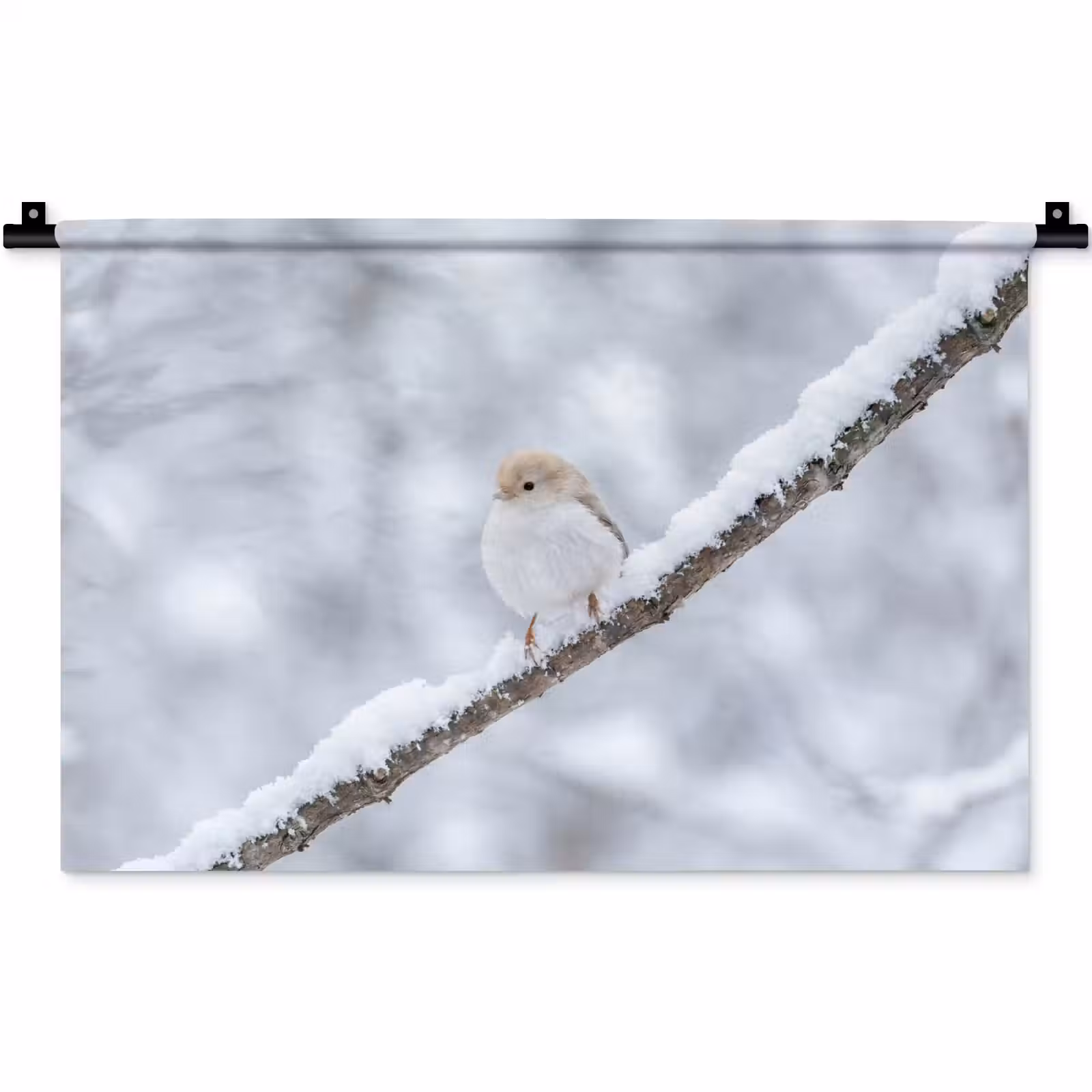 Wandkleed - Vogeltje - Sneeuw - Tak - Winter - Zacht — 1