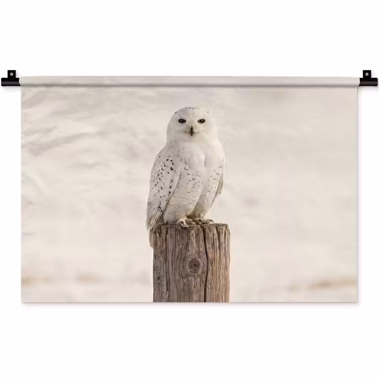 Wandkleed - Sneeuwuil - Paal - Winter - Portret - Majestueus — 1