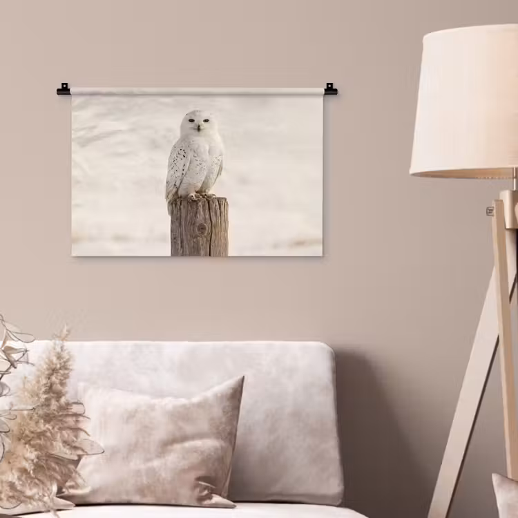 Wandkleed - Sneeuwuil - Paal - Winter - Portret - Majestueus — 2