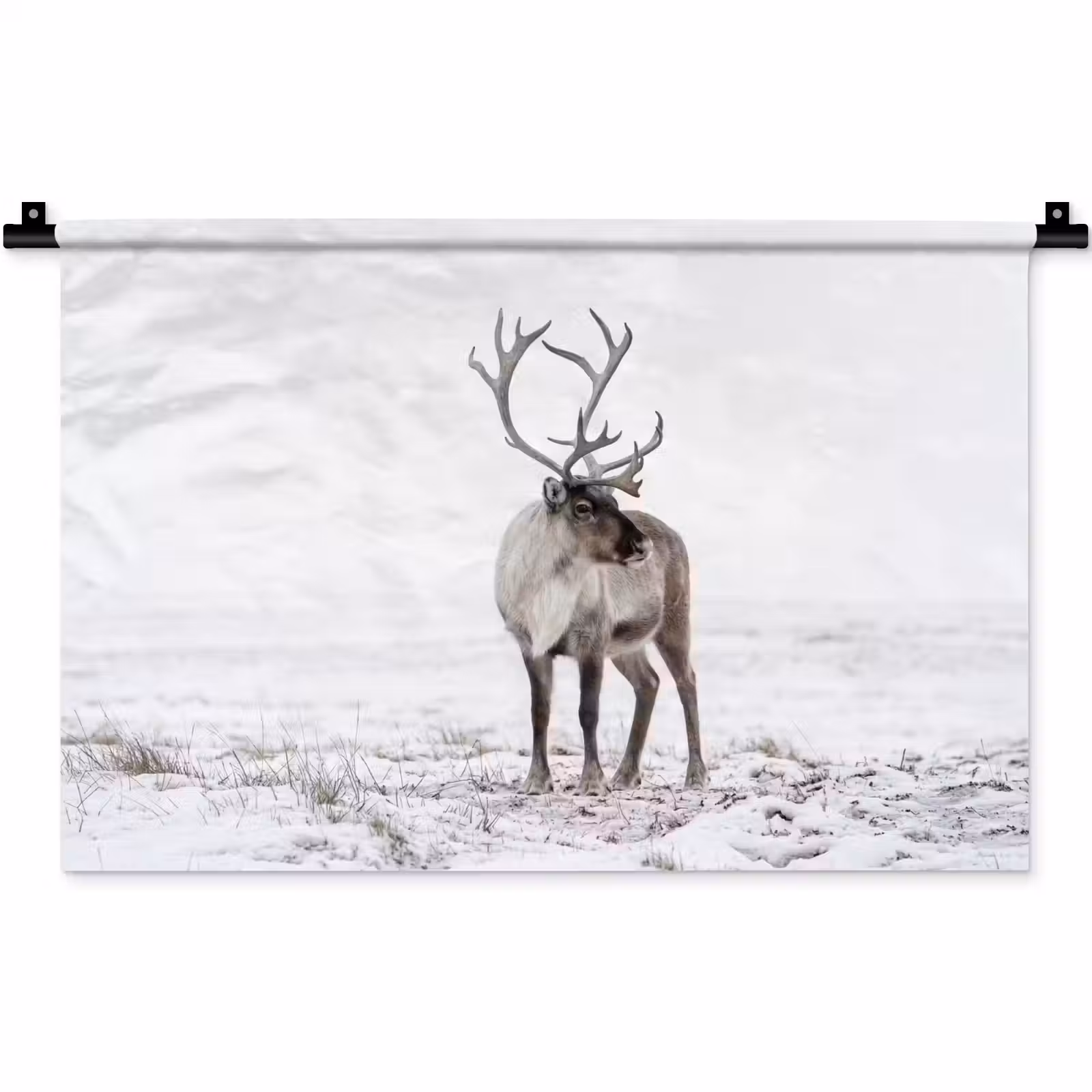 Wandkleed - Rendier - Gewei - Sneeuw - Winter — 1