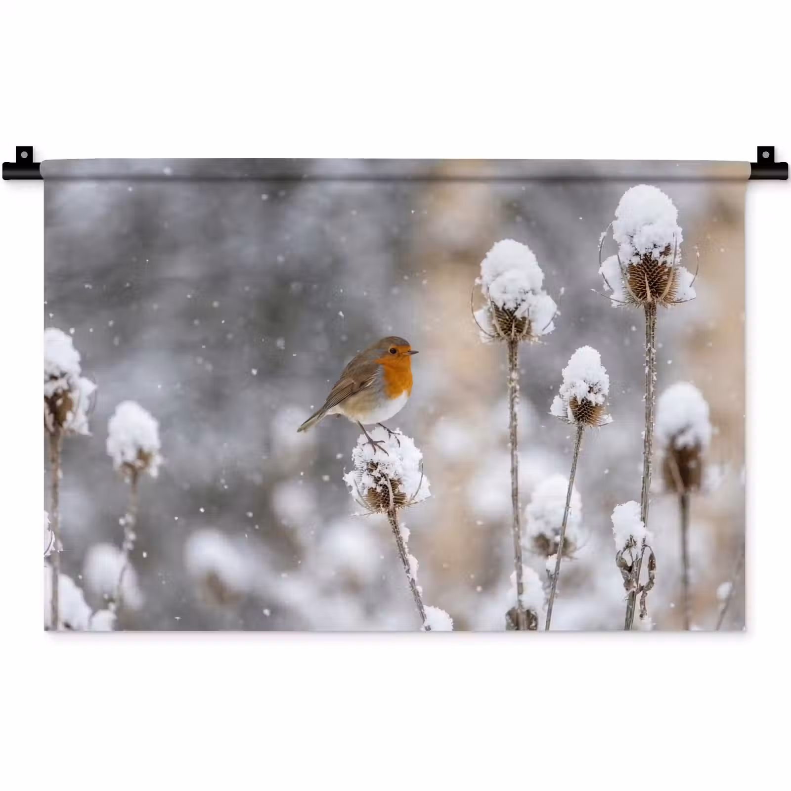 Wandkleed - Roodborstje - Gedroogde bloem - Sneeuw - Winter - Vertederend — 1