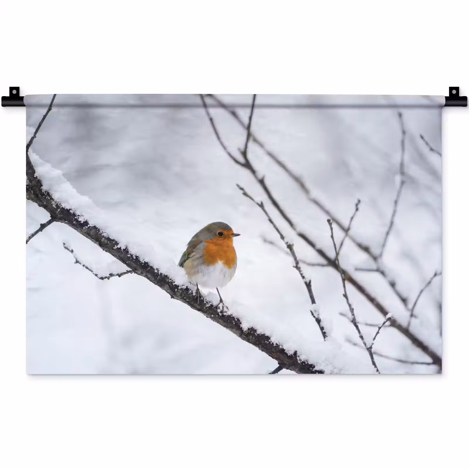 Wandkleed - Roodborstje - Tak - Sneeuw - Winter - Levendig — 1