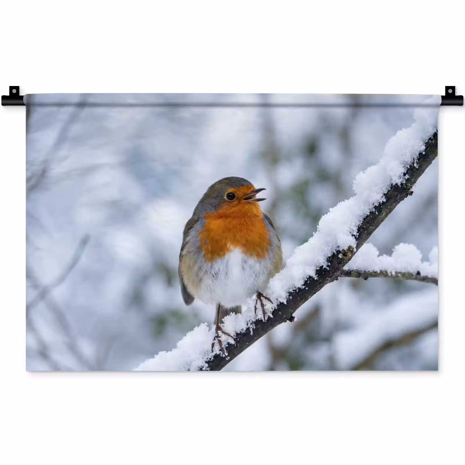 Wandkleed - Roodborstje - Tak - Sneeuw - Winter - Levendig — 1