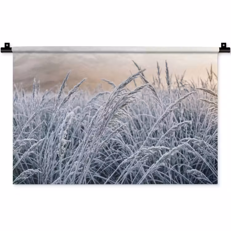 Wandkleed - Rijp - Gras - Kristallen - Winter - Minimalistisch — 1