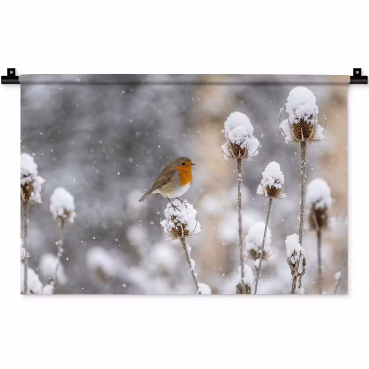 Wandkleed - Roodborstje - Gedroogde bloem - Sneeuw - Winter - Vertederend — 1