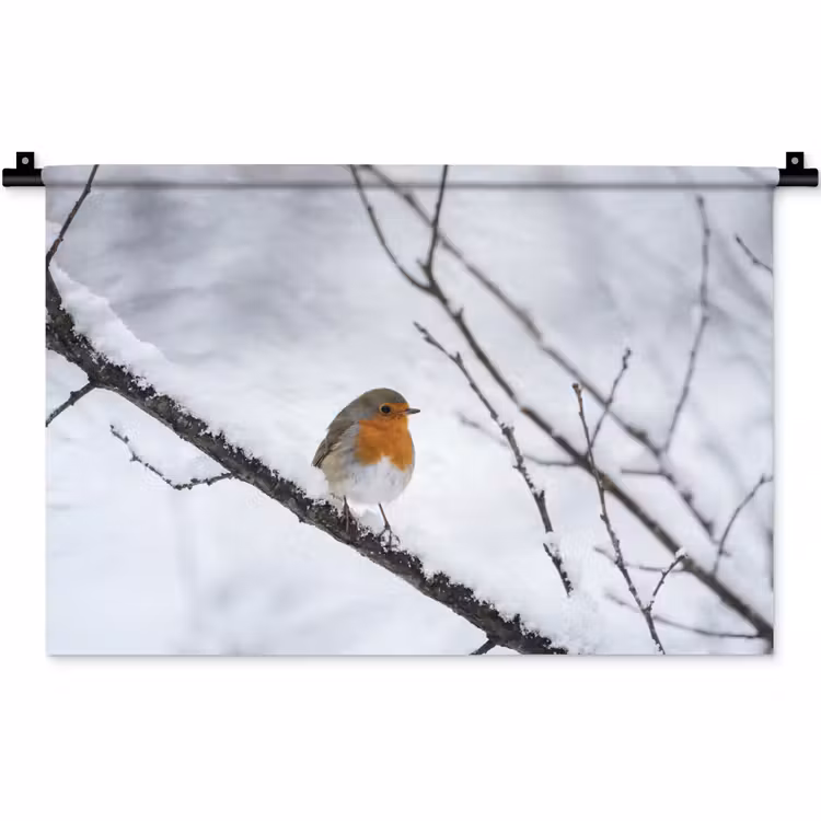 Wandkleed - Roodborstje - Tak - Sneeuw - Winter - Levendig — 1