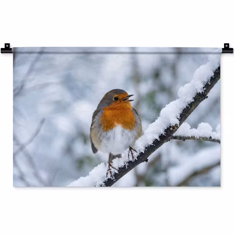 Wandkleed - Roodborstje - Tak - Sneeuw - Winter - Levendig — 1