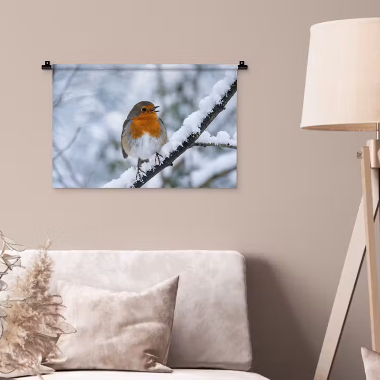 Wandkleed - Roodborstje - Tak - Sneeuw - Winter - Levendig — 2