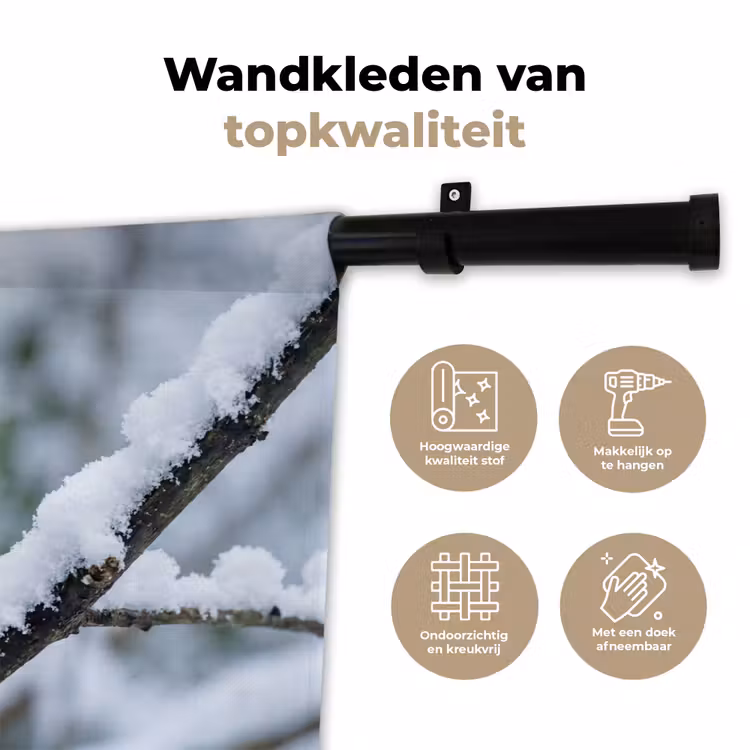 Wandkleed - Roodborstje - Tak - Sneeuw - Winter - Levendig — 3
