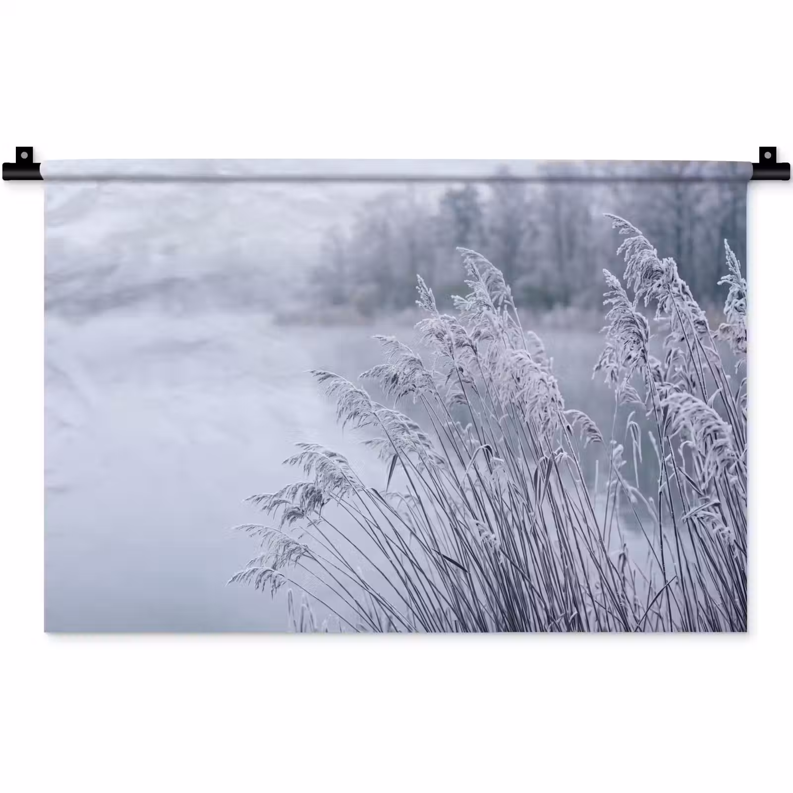 Wandkleed - Riet - Bevroren - Winter - Natuur — 1