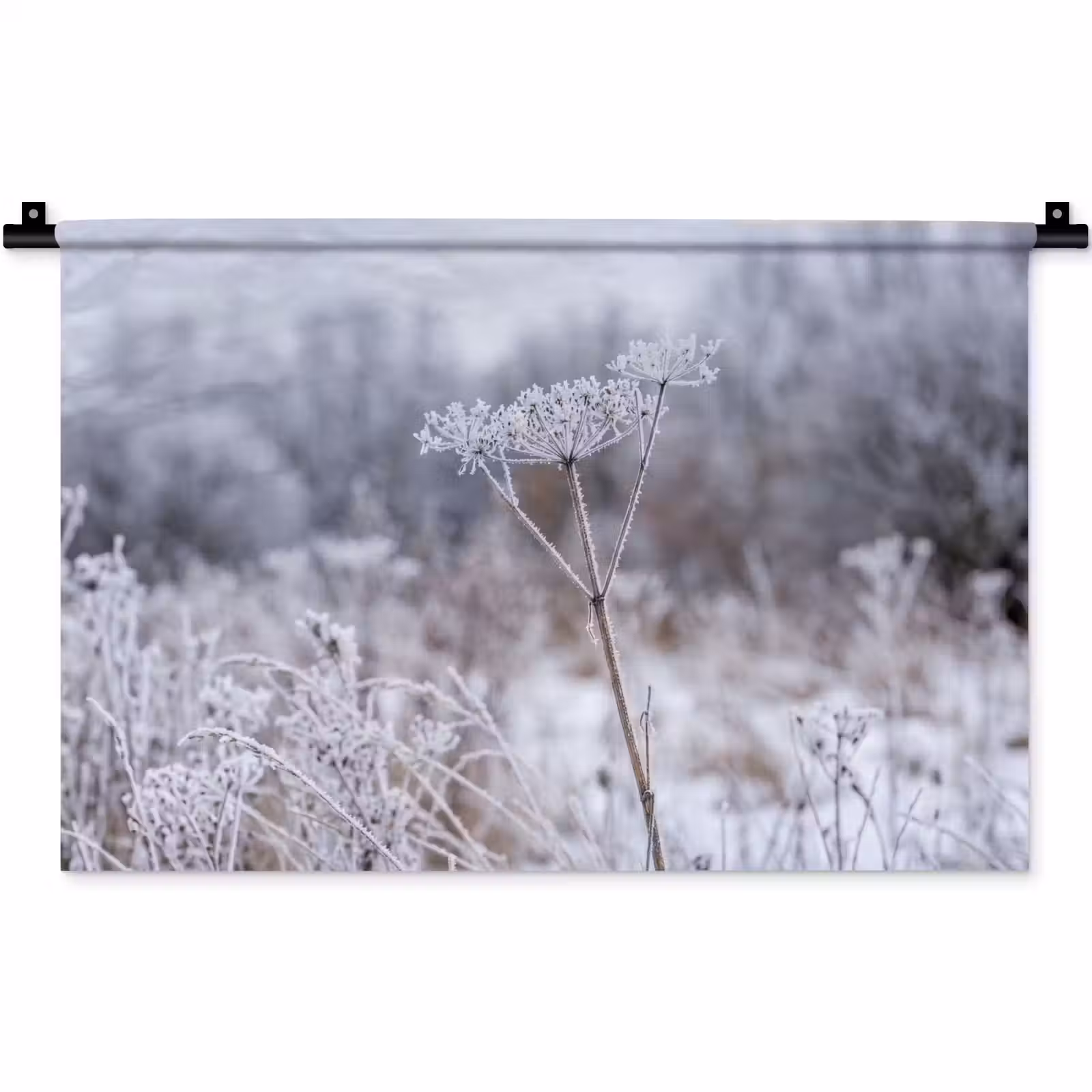 Wandkleed - Schermbloem - Rijp - Kristallen - Winter - Delicaat — 1