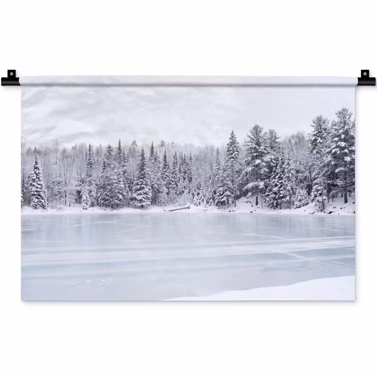 Wandkleed - Meer - Dennen - IJs - Winter - Rustgevend — 1