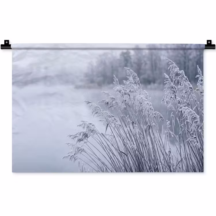 Wandkleed - Riet - Bevroren - Winter - Natuur — 1