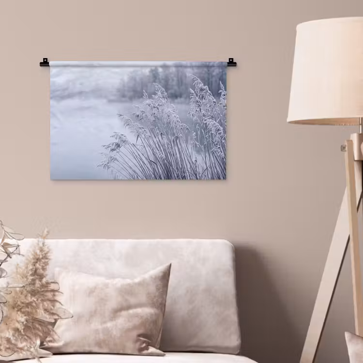 Wandkleed - Riet - Bevroren - Winter - Natuur — 2