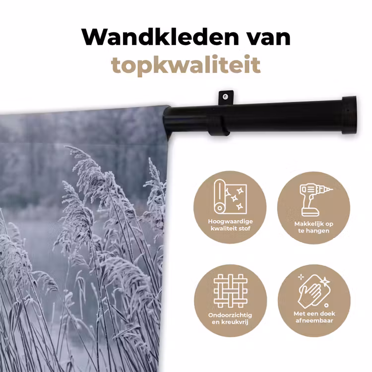 Wandkleed - Riet - Bevroren - Winter - Natuur — 3