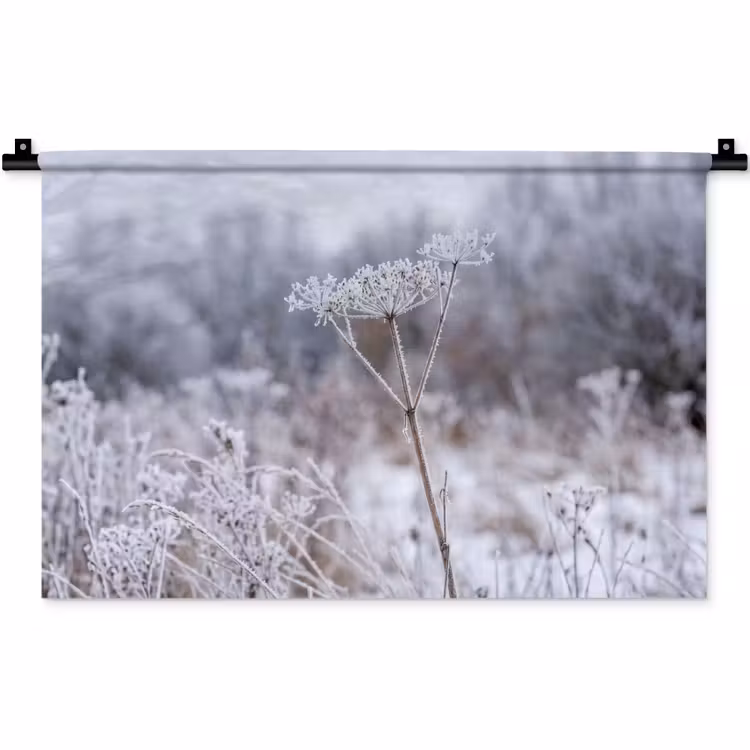 Wandkleed - Schermbloem - Rijp - Kristallen - Winter - Delicaat — 1