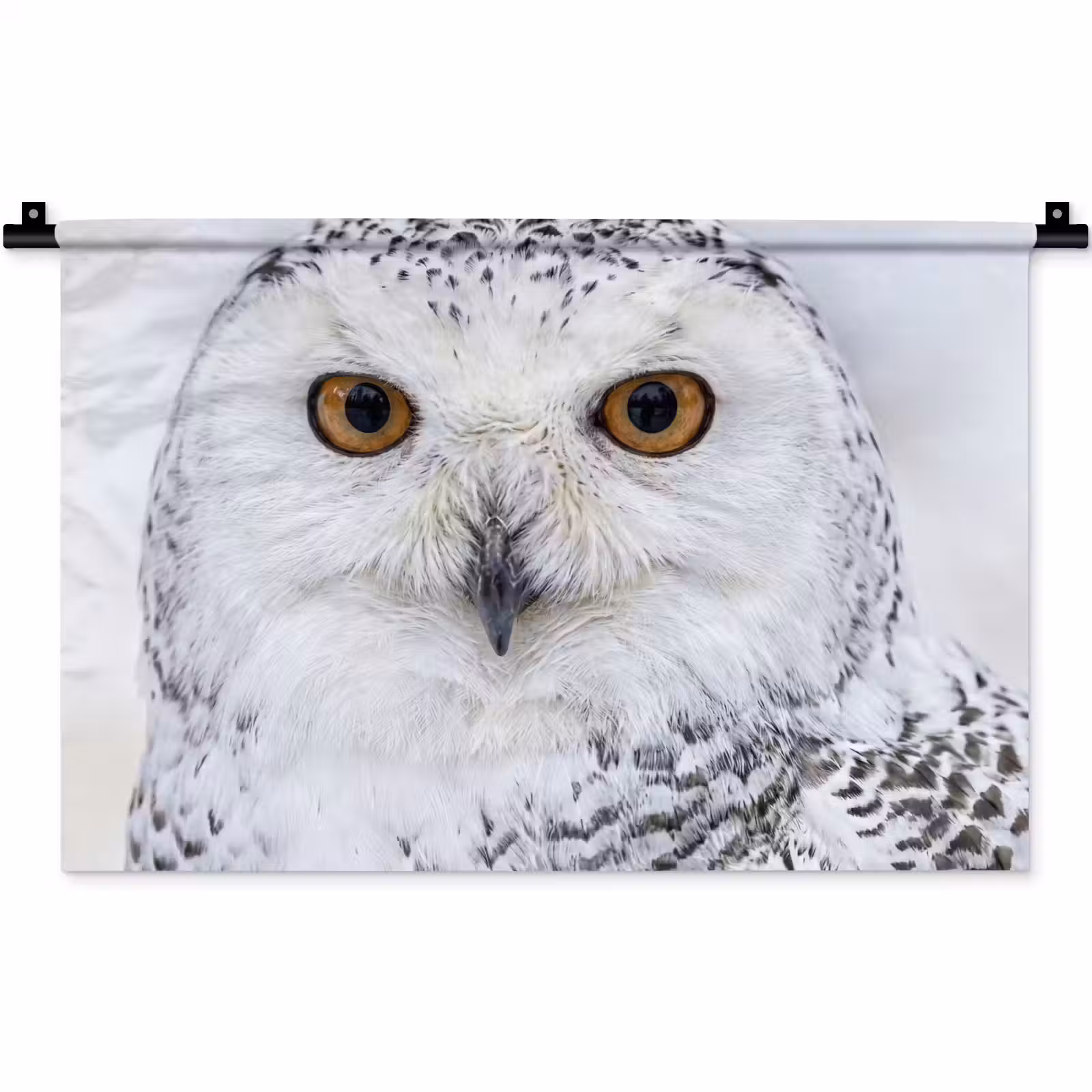Wandkleed - Sneeuwuil - Oog - Wildlife - Wit — 1