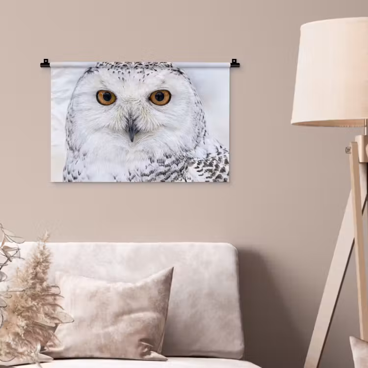 Wandkleed - Sneeuwuil - Oog - Wildlife - Wit — 2