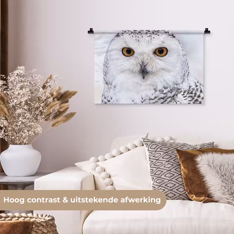 Wandkleed - Sneeuwuil - Oog - Wildlife - Wit — 4
