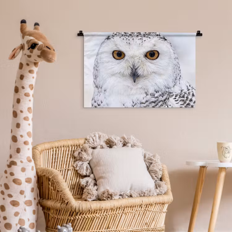 Wandkleed - Sneeuwuil - Oog - Wildlife - Wit — 5