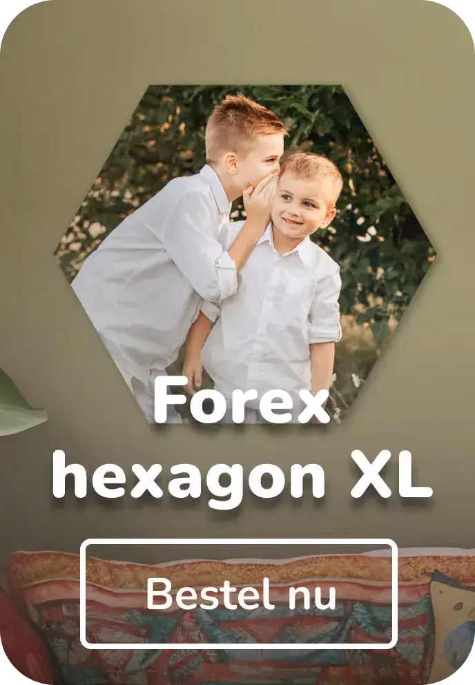 Foto op forex hexagon XL
