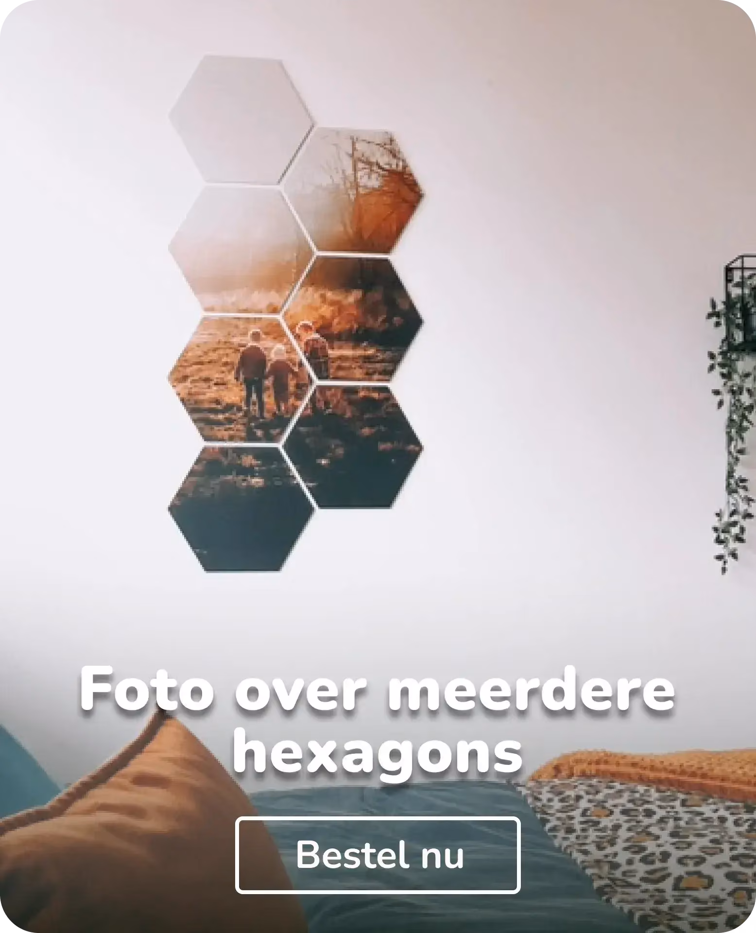 Foto op forex meerdere hexagons